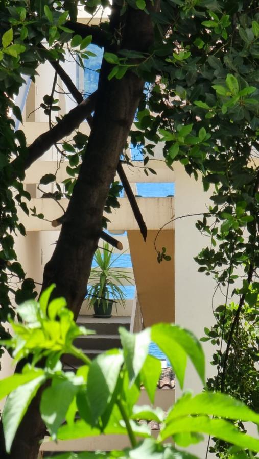 Apartment Savina Herceg Novi Exterior foto